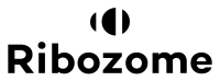Ribozome